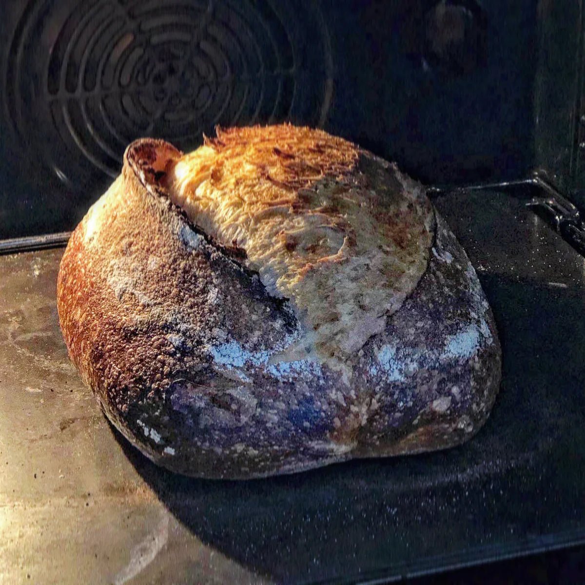 Baking Steel - SIMPEL - sourdough & coffee